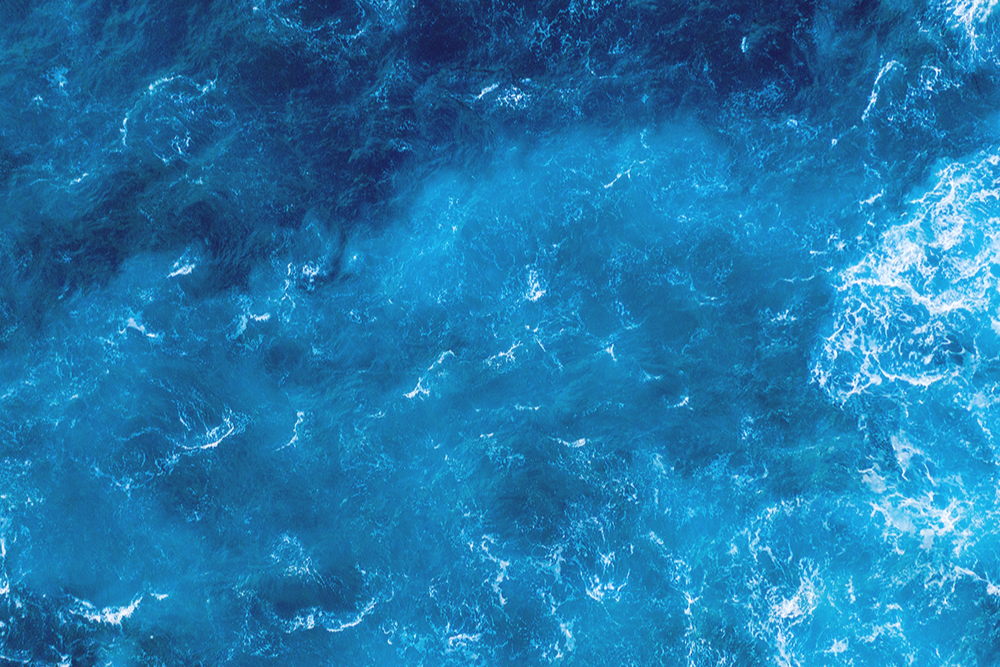 Astaksantyna – pigment, który nadaje łososiom moc do pokonywania wodospadów.