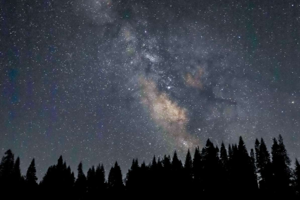 Ashwagandha: dlaczego NASA interesuje się adaptogenami podczas planowania podróży kosmicznych?