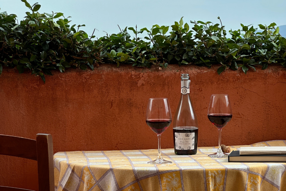 Resweratrol – czy francuski paradoks może mieć swoje źródło w kieliszku czerwonego wina?